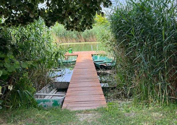 Bezdan Apartment | Apartmani M