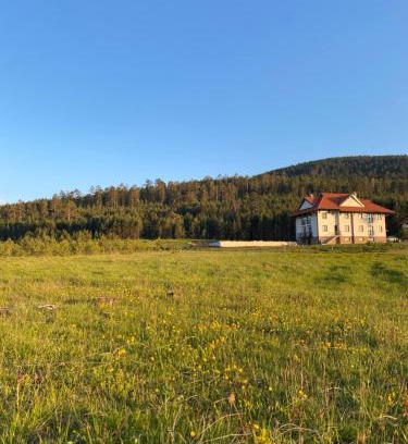 Zlatibor Apartment | Apartmani Ribnica Tornik