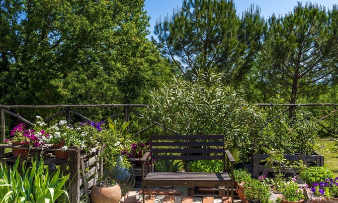 Laterina Apartment | Apartment between Florence Siena and Arezzo, swimming pool, barbecue and large green space