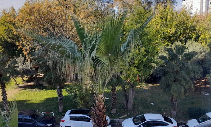 Eski Lara Villa | Apartment close to the sea in themostcentralofcity