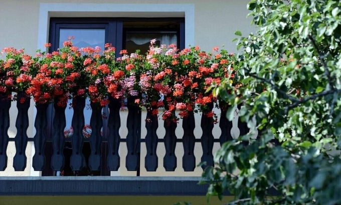 Zrece Apartment | Apartment House Koprivnik - Apartment 2