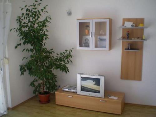 Duce Apartment | Apartment in Duce with sea view, balcony, air conditioning, WiFi 5060-3