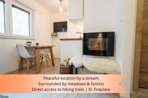 Kranjska Gora Apartment | Apartment Loyd, Kranjska Gora - studio