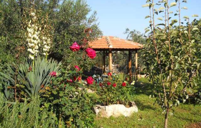 Sutomiscica Apartment | Apartments Branimir