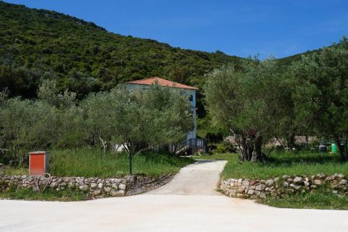 Luka Apartment | Apartments by the sea Luka, Dugi otok - 8151
