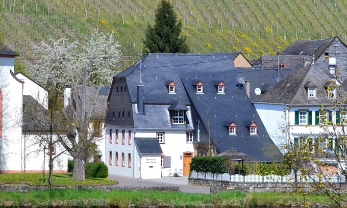 Piesport Apartment | Apartments Dienhart - Piesport /Mosel - Apartment Saar (No. 2)