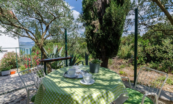 Drace Apartment | Apartments Jurica (51011-A5) - Drace