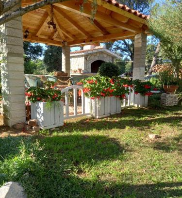 Suha Punta Apartment | Apartments Makaus