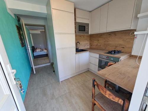 Donji Karin Apartment | Apartments Robi & Kristina - Studio Apartment with Terrace S1