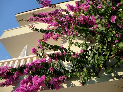 Krvavica Apartment | Apartments Villa Čizmić