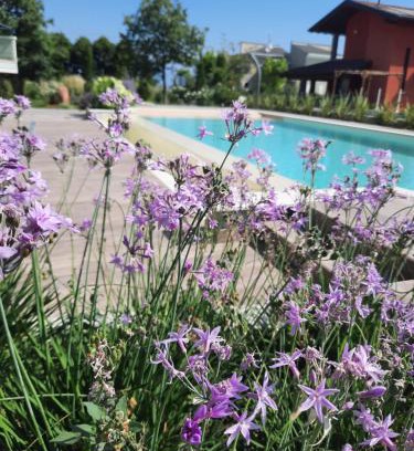 San Benedetto di Lugana Apartment | Appartamenti Villa Gloria