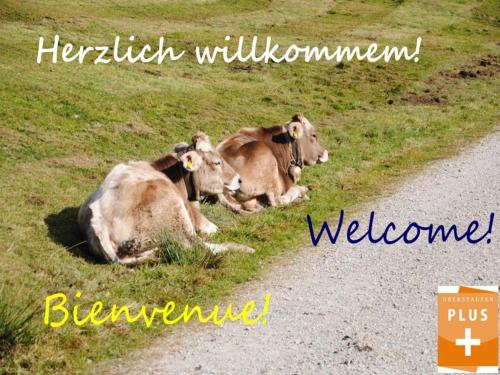 Steibis Apartment | Appartement Bergfrieden