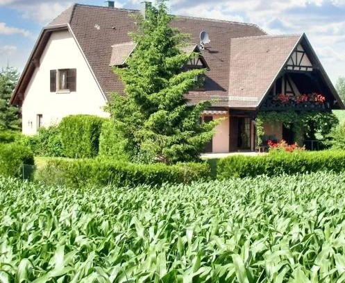 Hochfelden Apartment | Appartement charmant à Hochfelden - 100 m² et parking gratuit