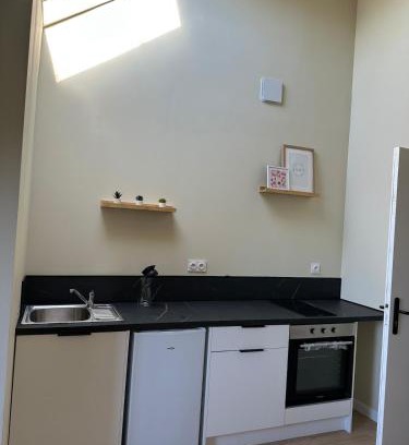 Saint-Etienne Apartment | Appartement gare chateaucreux