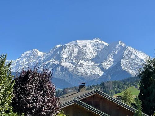 Combloux Ski Chalet | Appartement Luxe comme un Chalet - vue exceptionnelle