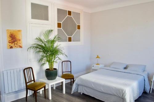 Thermal Apartment | Appartement LUXE et PRESTIGE proche Thermes, Parcs, Opéra