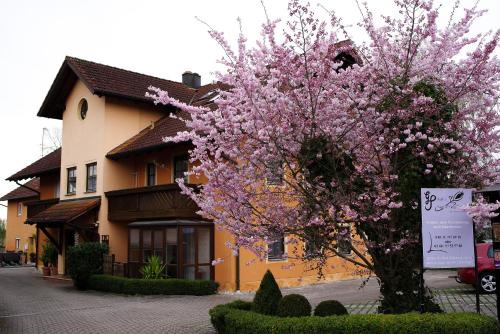 Riedenburg Apartment | Appartementhaus Sibylle