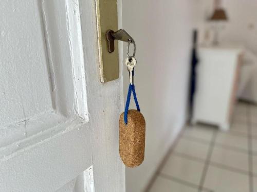 Terre-de-Haut Apartment | Appartements CHEZ COCO