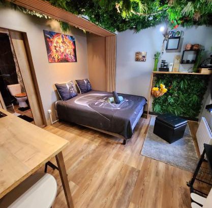 Conde-Sainte-Libiaire Apartment | Appt Avengers à 10 minutes de Disneyland