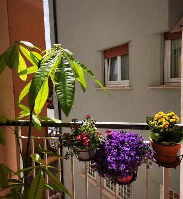 Trionfale Apartment | Apuleio 11