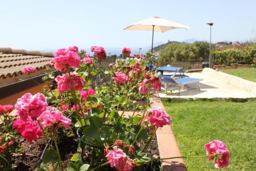 Arbatax Apartment | Arbatax Le Terrazze sul Mare
