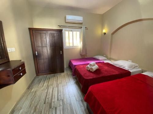 Dahab Hotel | Arigato dahab