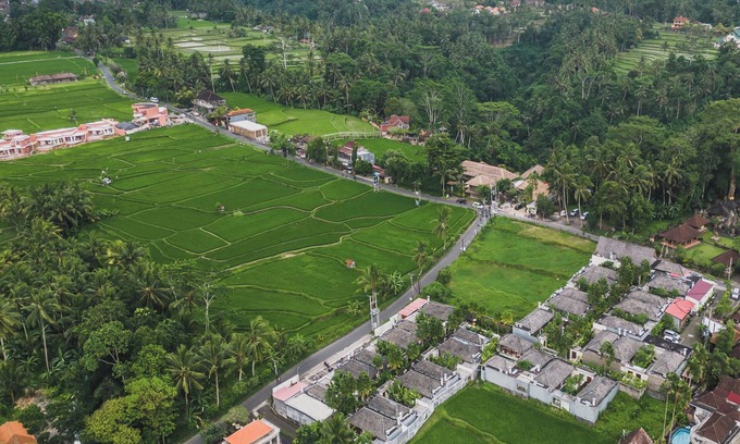 Sambahan Bed & Breakfast | Asvara Villa Ubud by Ini Vie Hospitality