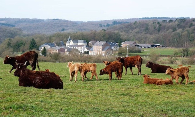 Xhignesse Other | At the Hameau de Xhignesse your gîte at the best price guaranteed