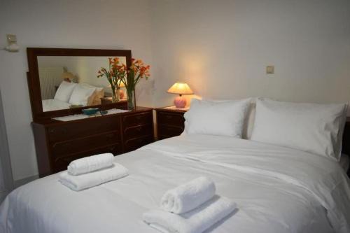 Trikala House | Avli Guesthouse