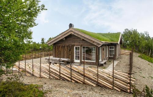 Skeikampen House | Awesome Home In Gålå With Wifi