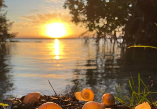 Bacalar House | Azul