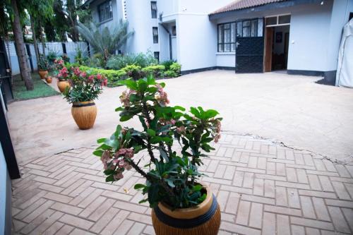 Moshi Hotel | B&B HOTEL