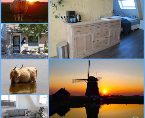 Municipality of Texel House | B&B Zonnedael