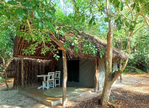 Watamu Other | Bamba Kofi Lodge