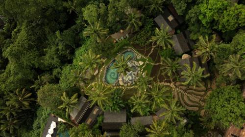 Sayan Resort | Bambu Indah Resort