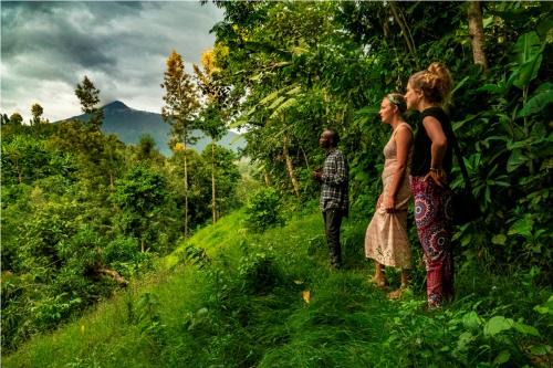 Nkoanrua Hostel | Banana Farm Eco Hostel