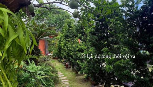 Cu Chi House | Bao Ong Thien Retreat - Khu Nghỉ Dưỡng Bào Ông Thiền