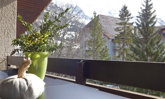 Wengen Apartment | Beautiful apartment for 5 guests with WIFI, TV and balcony