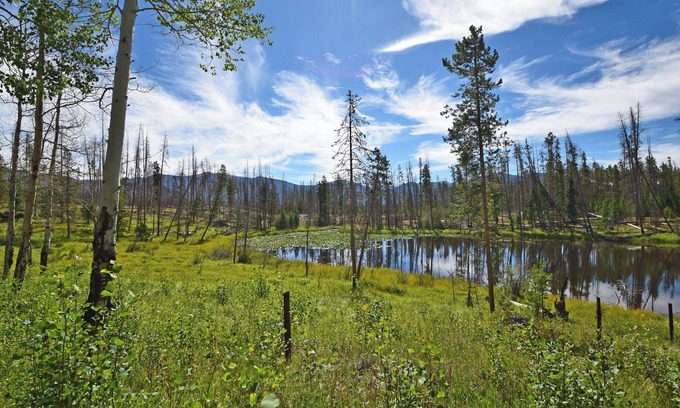 Grand Lake Cabin | Beautiful secluded setting on one acre that borders RMNP.