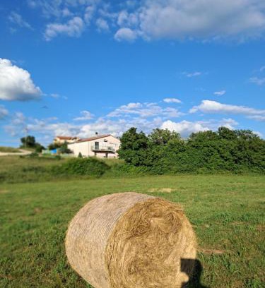 Citluk Apartment | BEllA