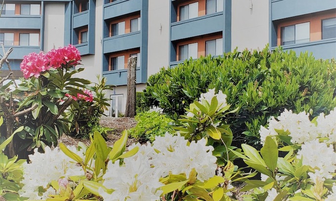 Renton Hotel | Best Western Plus Renton Inn