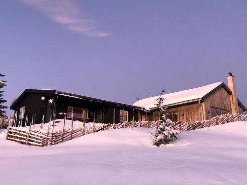 Sjusjoen House | Birkenstua