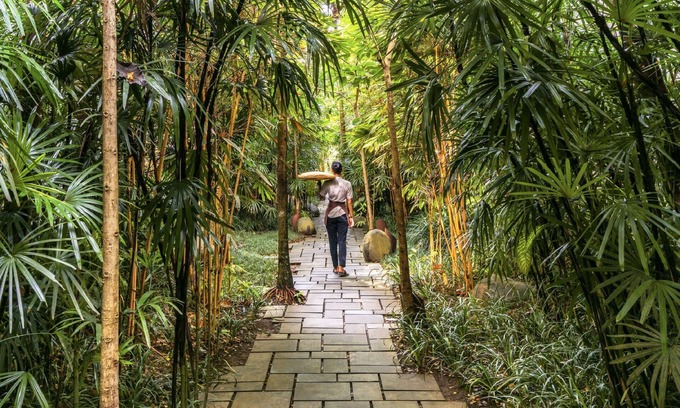 Ubud City-Centre Hotel | Bisma Eight Ubud