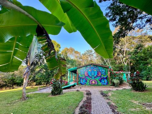 Hopkins Resort | Bocawina Rainforest Resort