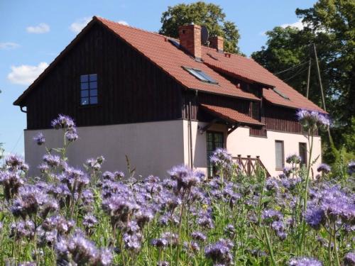 Bogacko House | Bogacko - Mazurskie Gospodarstwo Agroturystyczne - pokoje gościnne