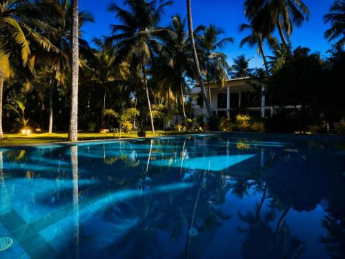 Talpe Cabin | BREATHE Collections Habaraduwa