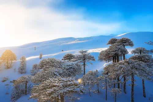 Vilcun Ski Chalet | Cabaña Las Araucarias