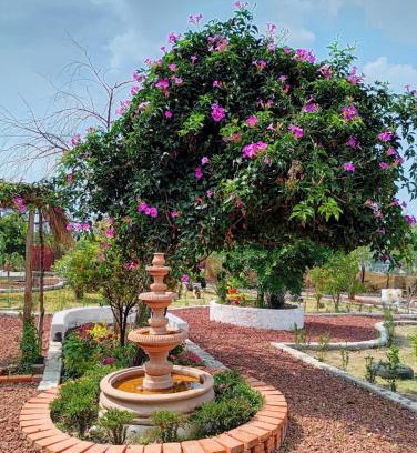 Nicolas Romero Hotel | cabañas en arcos del sitio