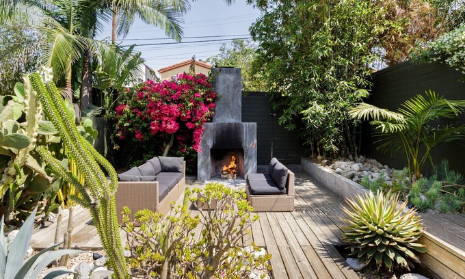 Venice House | Cactus Flower