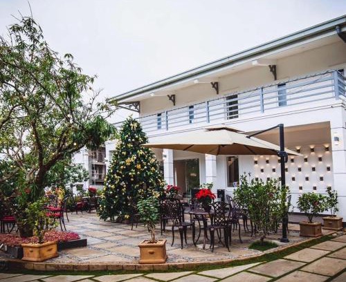 Da Lat Hotel | Camellia Villa Đà Lạt